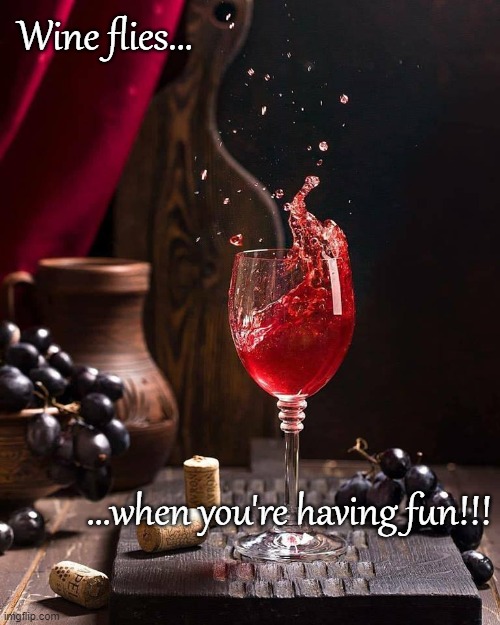 Wine flies... | Wine flies... ...when you're having fun!!! | image tagged in wine,fun,flies | made w/ Imgflip meme maker