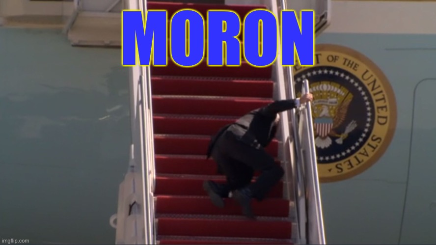 Biden falling | MORON | image tagged in biden falling | made w/ Imgflip meme maker
