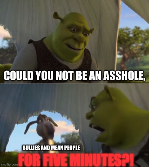 Frustrated | COULD YOU NOT BE AN ASSHOLE, BULLIES AND MEAN PEOPLE; FOR FIVE MINUTES?! | image tagged in could you not ___ for 5 minutes,bullying,bullies,bully,cyberbullying,leave me alone | made w/ Imgflip meme maker