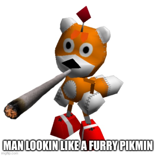 am i wrong? | MAN LOOKIN LIKE A FURRY PIKMIN | made w/ Imgflip meme maker
