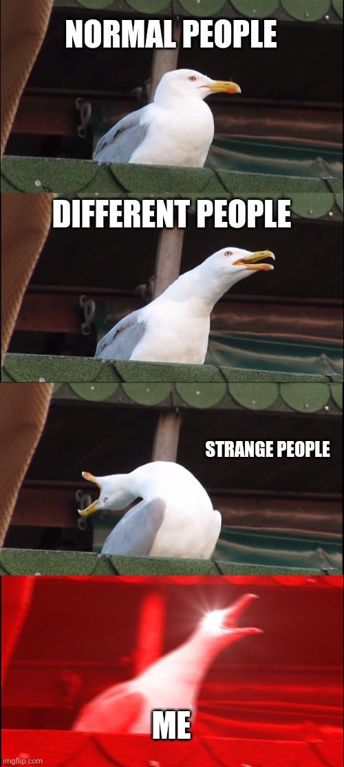 Uh huh |  NORMAL PEOPLE; DIFFERENT PEOPLE; STRANGE PEOPLE; ME | image tagged in memes,inhaling seagull | made w/ Imgflip meme maker