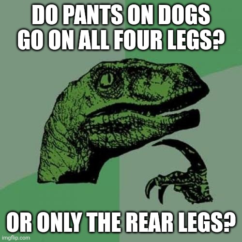 Philosoraptor Meme | DO PANTS ON DOGS GO ON ALL FOUR LEGS? OR ONLY THE REAR LEGS? | image tagged in memes,philosoraptor | made w/ Imgflip meme maker