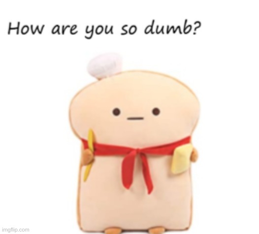 how are you so dumb | image tagged in how are you so dumb | made w/ Imgflip meme maker