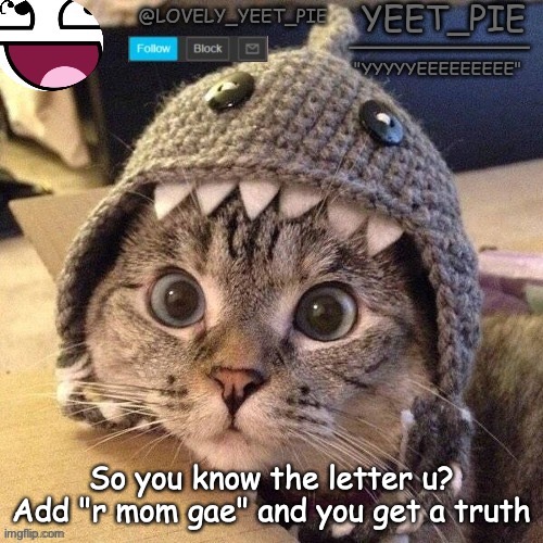 Yeet_Pie | So you know the letter u? Add "r mom gae" and you get a truth | image tagged in yeet_pie | made w/ Imgflip meme maker