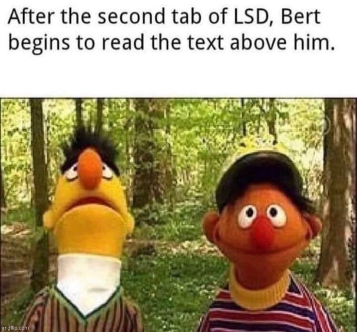 Um | image tagged in memes,funny,dark humor,lmao | made w/ Imgflip meme maker