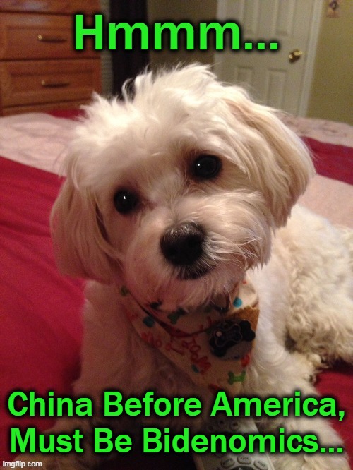 China Before America,
Must Be Bidenomics... | made w/ Imgflip meme maker
