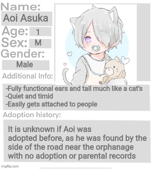 Orphanage faction file | Aoi Asuka; 1; M; Male; -Fully functional ears and tail much like a cat's
-Quiet and timid
-Easily gets attached to people; It is unknown if Aoi was adopted before, as he was found by the side of the road near the orphanage with no adoption or parental records | image tagged in orphanage faction file,orphanage faction | made w/ Imgflip meme maker