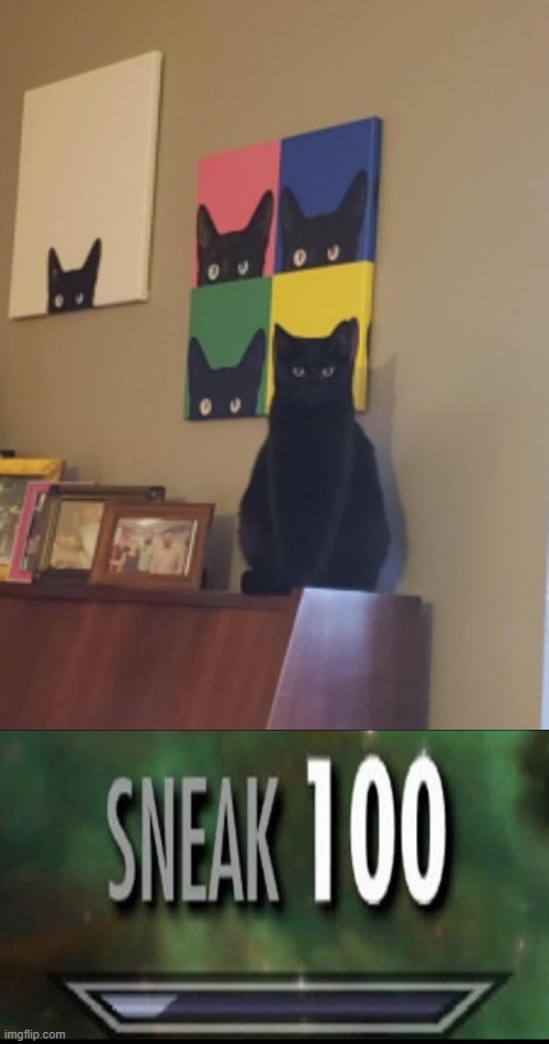 Cat :D | image tagged in sneak 100,cat | made w/ Imgflip meme maker
