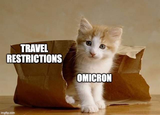 cats out of the bag | OMICRON TRAVEL RESTRICTIONS | image tagged in cats out of the bag | made w/ Imgflip meme maker