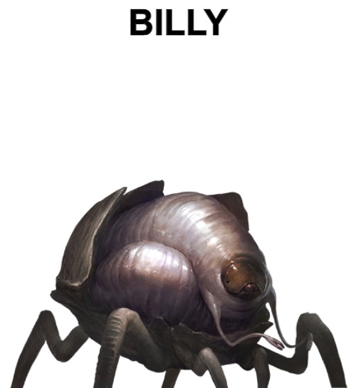 Billy | BILLY | image tagged in darmug | made w/ Imgflip meme maker