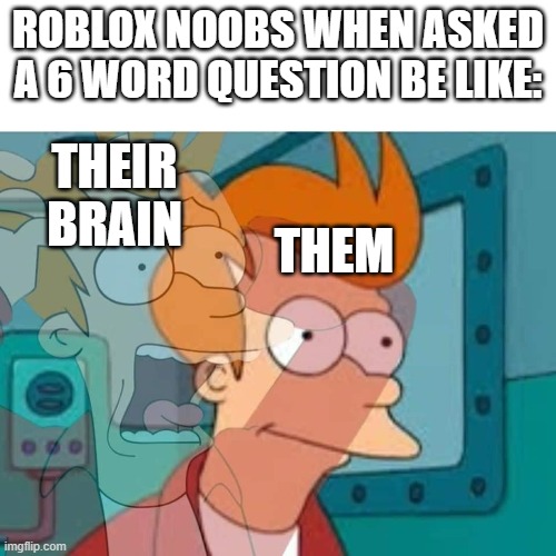 fry | ROBLOX NOOBS WHEN ASKED A 6 WORD QUESTION BE LIKE:; THEIR BRAIN; THEM | image tagged in fry | made w/ Imgflip meme maker