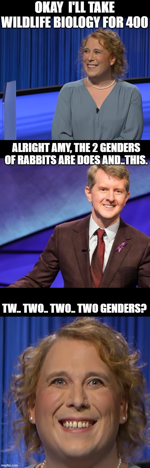 yup 2,   just 2. | OKAY  I'LL TAKE WILDLIFE BIOLOGY FOR 400; ALRIGHT AMY, THE 2 GENDERS OF RABBITS ARE DOES AND..THIS. TW.. TWO.. TWO.. TWO GENDERS? | image tagged in stupid liberals,funny memes,political meme,politics lol,transgender,freaks | made w/ Imgflip meme maker