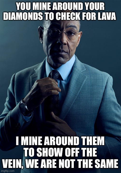 Gus Fring we are not the same | YOU MINE AROUND YOUR DIAMONDS TO CHECK FOR LAVA; I MINE AROUND THEM TO SHOW OFF THE VEIN, WE ARE NOT THE SAME | image tagged in gus fring we are not the same | made w/ Imgflip meme maker