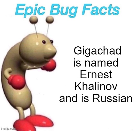 Epic Bug Facts | Gigachad is named Ernest Khalinov and is Russian | image tagged in epic bug facts | made w/ Imgflip meme maker