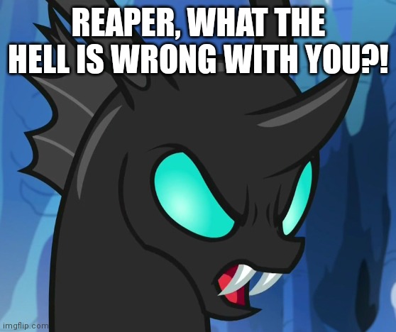 REAPER, WHAT THE HELL IS WRONG WITH YOU?! | made w/ Imgflip meme maker