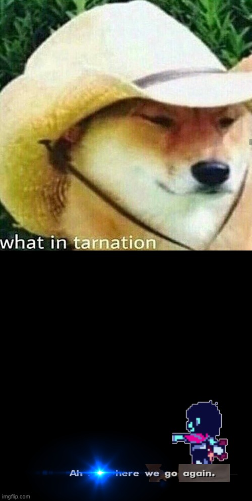 What in tarnation dog | image tagged in what in tarnation dog | made w/ Imgflip meme maker