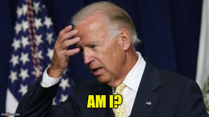 Joe Biden worries | AM I? | image tagged in joe biden worries | made w/ Imgflip meme maker