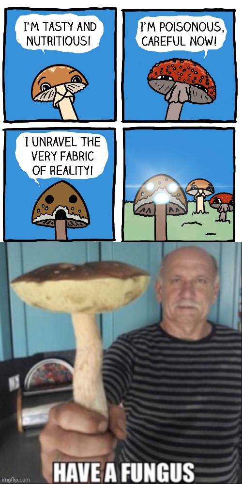 Mushrooms | image tagged in have a fungus,mushrooms,mushroom,memes,comics/cartoons,comics | made w/ Imgflip meme maker