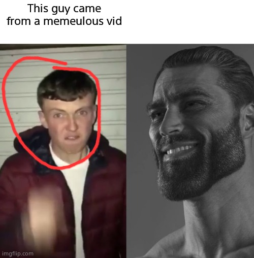 Average Fan vs Average Enjoyer | This guy came from a memeulous vid | image tagged in average fan vs average enjoyer | made w/ Imgflip meme maker