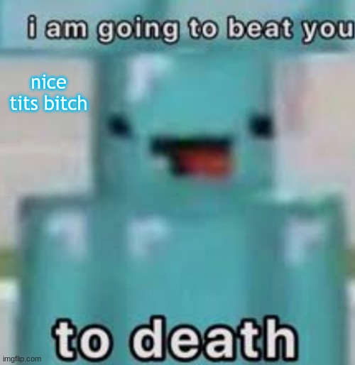 e | nice tits bitch | image tagged in e | made w/ Imgflip meme maker