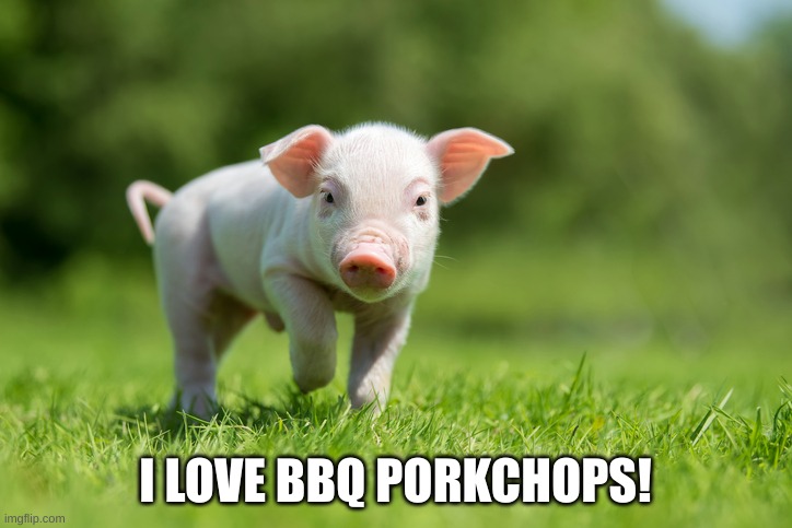 Cannibalism | I LOVE BBQ PORKCHOPS! | image tagged in little pig,cannibalism,bbq | made w/ Imgflip meme maker