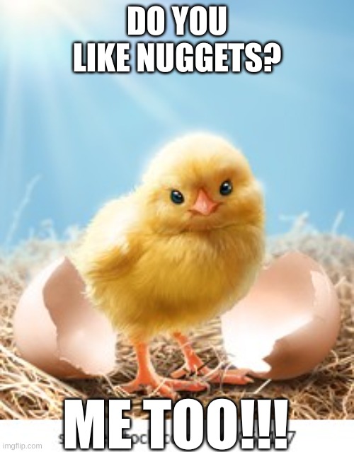 An Another Case of Cannibalism | DO YOU LIKE NUGGETS? ME TOO!!! | image tagged in cute chick | made w/ Imgflip meme maker