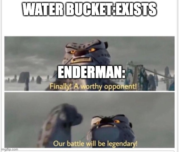 water | WATER BUCKET:EXISTS; ENDERMAN: | image tagged in finally a worthy opponent,funny,enderman,minecraft | made w/ Imgflip meme maker