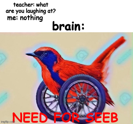 s e e b | teacher: what are you laughing at? me: nothing; brain:; NEED FOR SEEB | image tagged in need for speed,seeb,birb,games,bird,memes | made w/ Imgflip meme maker