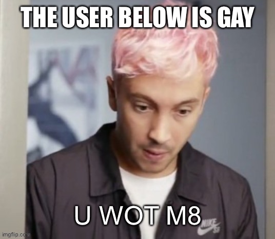 Tyler Joseph u wot m8 | THE USER BELOW IS GAY | image tagged in tyler joseph u wot m8 | made w/ Imgflip meme maker