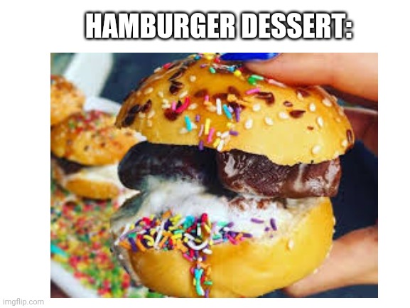 There is no such a thing like 'Hamburger Dessert' | HAMBURGER DESSERT: | image tagged in hamburger,dessert | made w/ Imgflip meme maker