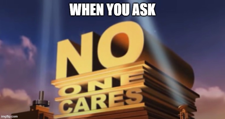 Why Ask | WHEN YOU ASK | image tagged in no one cares | made w/ Imgflip meme maker