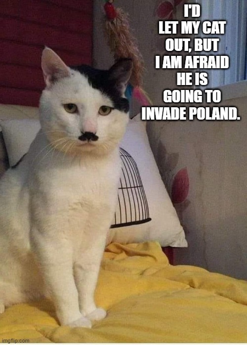 he already acts like a freakin dictator | I'D LET MY CAT OUT, BUT I AM AFRAID HE IS GOING TO INVADE POLAND. | image tagged in cats,funny memes,funny cat memes,lol | made w/ Imgflip meme maker