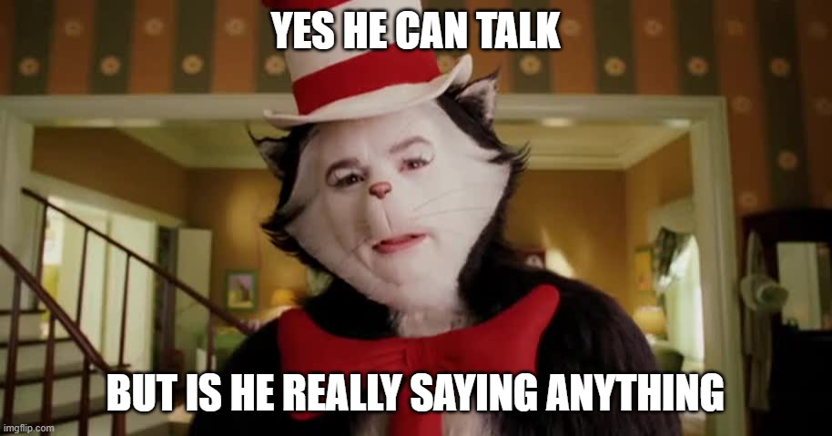 Third option cat in the hat | YES HE CAN TALK; BUT IS HE REALLY SAYING ANYTHING | image tagged in third option cat in the hat | made w/ Imgflip meme maker