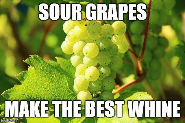  SOUR GRAPES; MAKE THE BEST WHINE | made w/ Imgflip meme maker