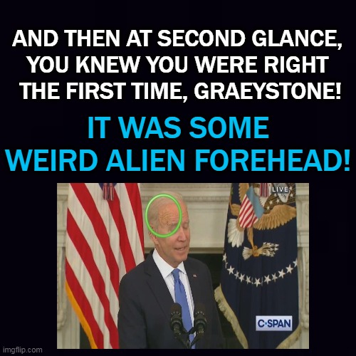 Plain black | AND THEN AT SECOND GLANCE, 
YOU KNEW YOU WERE RIGHT 
THE FIRST TIME, GRAEYSTONE! IT WAS SOME WEIRD ALIEN FOREHEAD! | image tagged in plain black | made w/ Imgflip meme maker