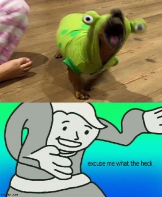 What the heck | image tagged in excuse me what the heck,memes,funny,cursed image,lmao,wtf | made w/ Imgflip meme maker