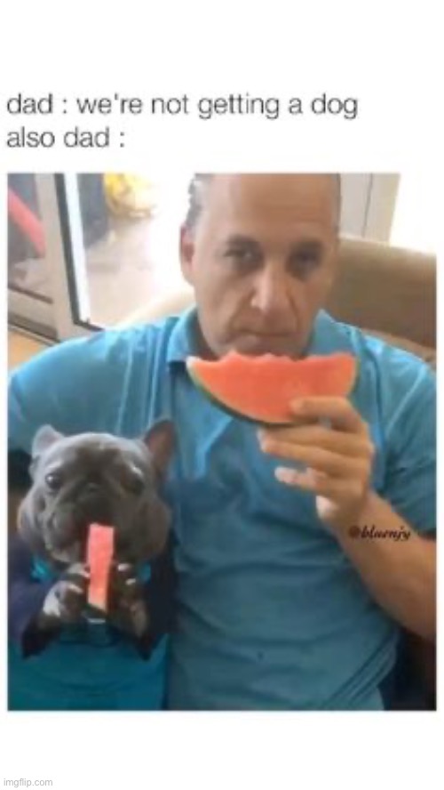 Lmao | image tagged in memes,funny,lmao,dad,watermelon,dogs | made w/ Imgflip meme maker