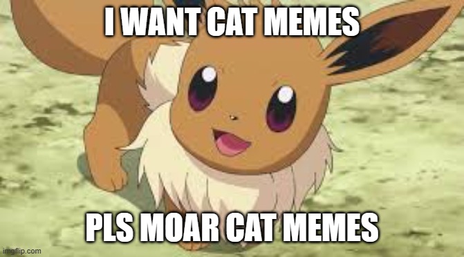 awwwwwwwww | I WANT CAT MEMES; PLS MOAR CAT MEMES | image tagged in eevee | made w/ Imgflip meme maker