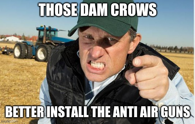 angry farmer | THOSE DAM CROWS BETTER INSTALL THE ANTI AIR GUNS | image tagged in angry farmer | made w/ Imgflip meme maker