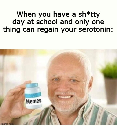so true | When you have a sh*tty day at school and only one thing can regain your serotonin: | image tagged in memes,hide the pain harold | made w/ Imgflip meme maker