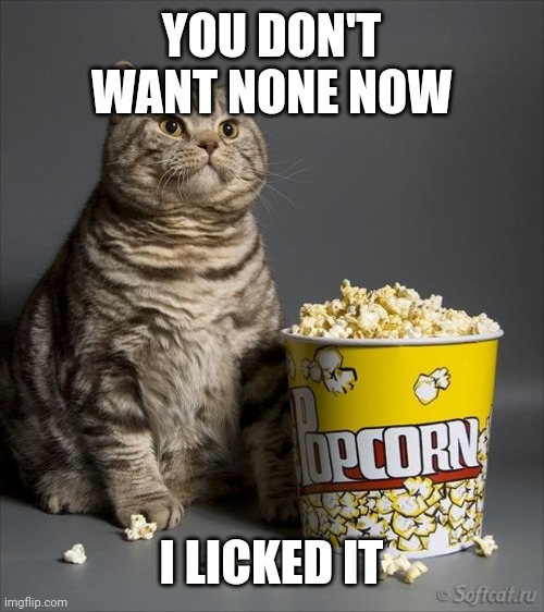 Cat eating popcorn | YOU DON'T WANT NONE NOW; I LICKED IT | image tagged in cat eating popcorn | made w/ Imgflip meme maker