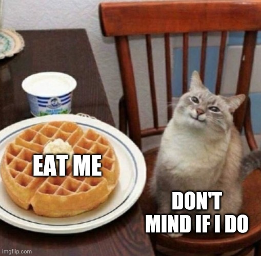 Cat likes their waffle | EAT ME; DON'T MIND IF I DO | image tagged in cat likes their waffle | made w/ Imgflip meme maker