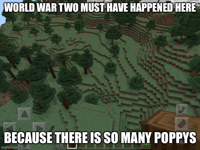 WORLD WAR TWO MUST HAVE HAPPENED HERE; BECAUSE THERE IS SO MANY POPPYS | made w/ Imgflip meme maker