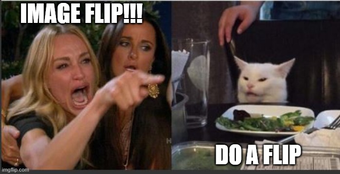 woman yelling at cat without white top | IMAGE FLIP!!! DO A FLIP | image tagged in woman yelling at cat without white top | made w/ Imgflip meme maker