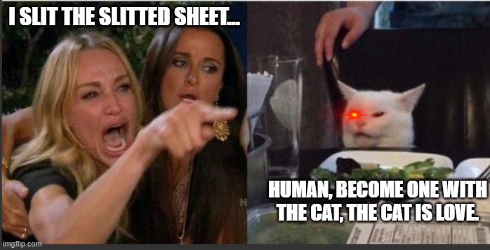 done | I SLIT THE SLITTED SHEET... HUMAN, BECOME ONE WITH THE CAT, THE CAT IS LOVE. | image tagged in woman yelling at cat without white top | made w/ Imgflip meme maker