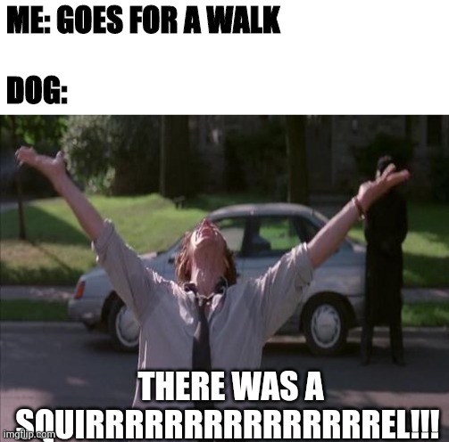There was a squirrel | ME: GOES FOR A WALK
 
DOG:; THERE WAS A
SQUIRRRRRRRRRRRRRRREL!!! | image tagged in there was a firefight | made w/ Imgflip meme maker