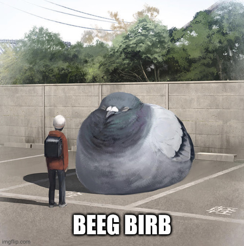 Beeg Birb | BEEG BIRB | image tagged in beeg birb | made w/ Imgflip meme maker