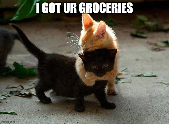 kitten hug | I GOT UR GROCERIES | image tagged in kitten hug | made w/ Imgflip meme maker