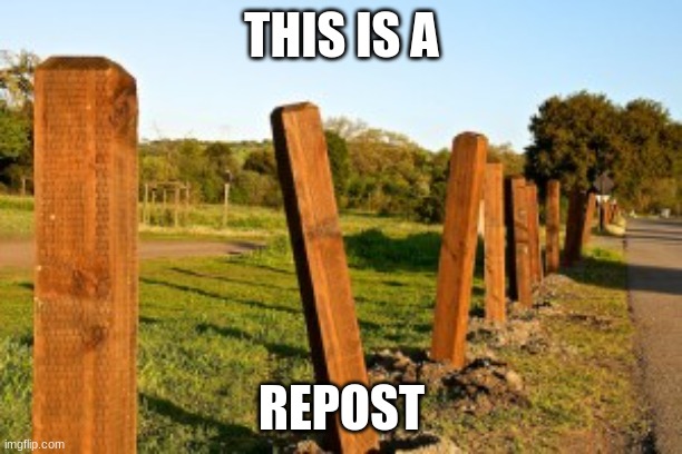 Repost | THIS IS A REPOST | image tagged in repost | made w/ Imgflip meme maker