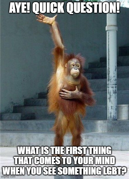 Monkey Raising Hand | AYE! QUICK QUESTION! WHAT IS THE FIRST THING THAT COMES TO YOUR MIND WHEN YOU SEE SOMETHING LGBT? | image tagged in monkey raising hand | made w/ Imgflip meme maker